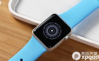 华为手表怎么登电脑上(华为手表与电脑的连接，简单操作指南)