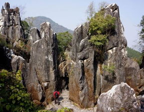 石林到江川汽车票多少钱(石林到江川汽车票价详解)
