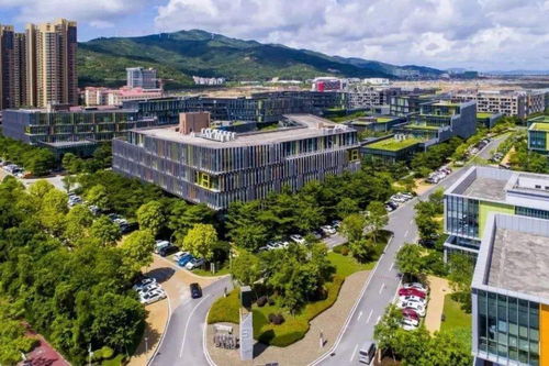 横琴到深圳汽车站多少钱(横琴至深圳汽车站交通费用详解)