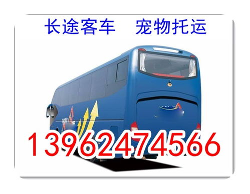 淇县到济宁汽车票多少钱(淇县到济宁汽车票价详解，费用、时间与路线)