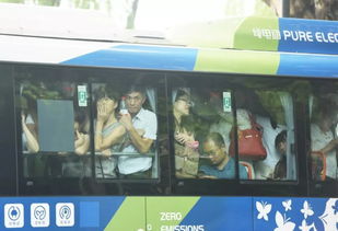 莆田汽车站有多少人坐(莆田汽车站的人流量分析，多少人在此乘坐交通工具？