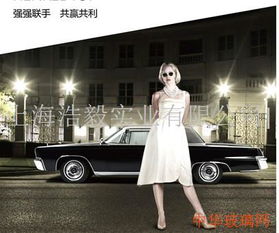 广东安全汽车贴膜多少钱(广东安全汽车贴膜价格解析)