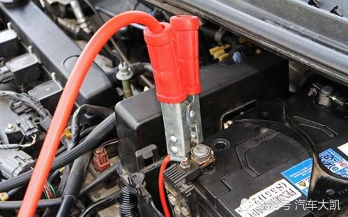 汽车散热器能加多少水(汽车散热器加水容量解析)