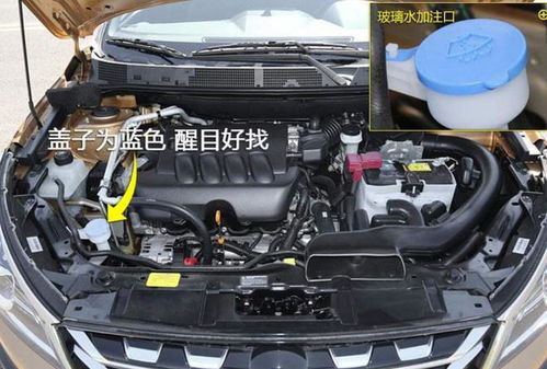 湖南汽车加玻璃水多少钱(湖南汽车玻璃水价格解析)