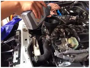 汽车里可以加多少防冻液(汽车里可以加多少防冻液，了解容量与正确操作的重要性)