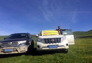 和田到阿拉尔汽车多少钱(和田到阿拉尔汽车价格详解)