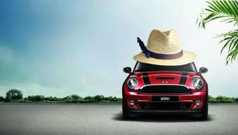 迷你猫王汽车多少钱一个(迷你猫王汽车价格解析，多少钱一个？