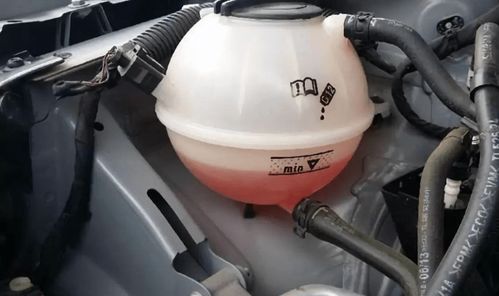 电动汽车换刹车液多少钱(电动汽车换刹车液的成本分析) 电动汽车换刹车液多少钱(电动汽车换刹车液的成本分析)