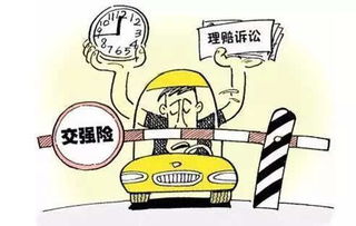 汽车保险交多少年不亏(汽车保险，如何选择合适的保险期限以实现投资回报最大化)