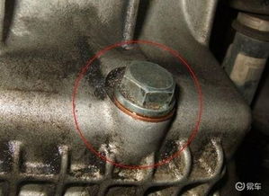 汽车有多少个螺丝配件厂(汽车配件之螺丝，探究汽车制造中的螺丝配件厂数量)