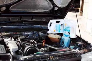 浙江小汽车冷却液多少钱(浙江小汽车冷却液价格解析)