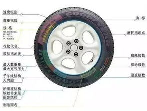 汽车刹车轮多少钱一个(汽车刹车轮价格解析，了解刹车轮的成本与选择)