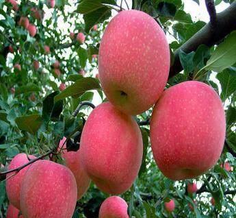 电脑绘画华为手机怎么画(电脑绘画，华为手机上如何轻松绘制精美画作)