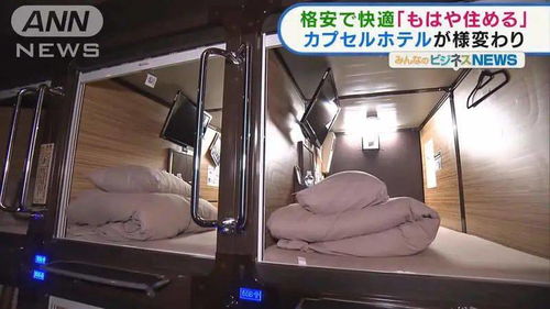 共享汽车站住宿多少钱(共享汽车站住宿费用详解)