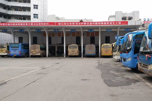 泸溪县汽车到石龙多少钱(泸溪县至石龙汽车票价详解)