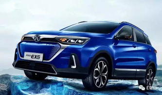 新能源汽车比亚达多少钱(新能源汽车比亚达的价格及其市场影响力)