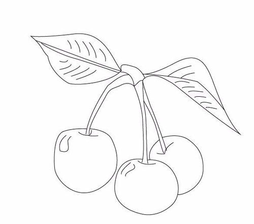 华为电脑的符号怎么画(华为电脑符号绘制指南，从基础到进阶)