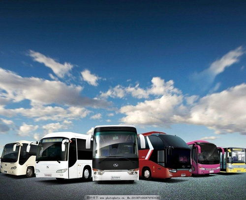 聊城到高密汽车票多少钱(聊城到高密汽车票价详解，多少钱一张票？