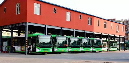 大荔荔北汽车站电话多少(大荔荔北汽车站电话查询及相关信息介绍)