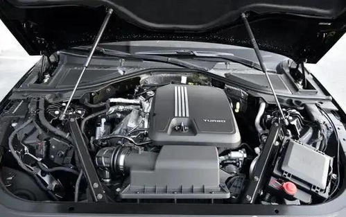 汽车前后灯换灯泡多少钱(汽车前后灯换灯泡的价格解析)