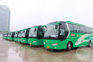 南京轮渡多少钱一辆汽车(南京轮渡汽车费用详解)