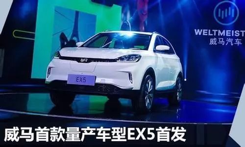 华为汽车一小时卖多少(华为汽车一小时销售量的秘密揭晓)