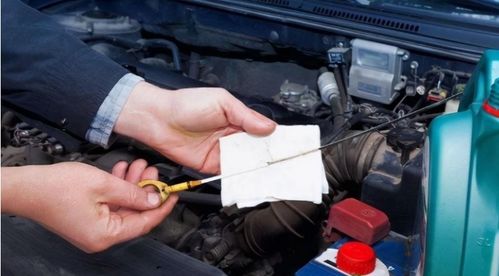 给汽车加多少升机油才够(如何确定给汽车加多少升机油才够)