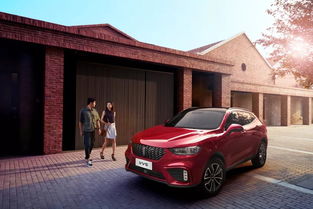 抖音汽车一百块多少钱(抖音汽车一百块多少钱，探究汽车短视频平台的价格真相)