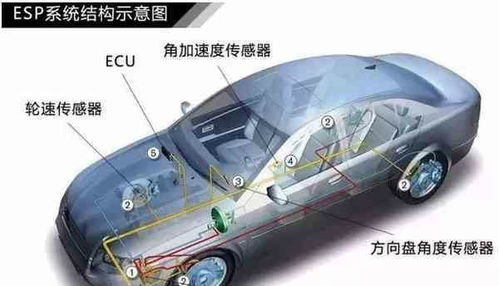 如何测汽车耗电量是多少(如何测量汽车耗电量，方法与步骤详解)