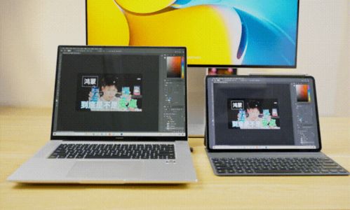 怎么转镜像华为平板电脑(华为平板电脑镜像转换，步骤与技巧)