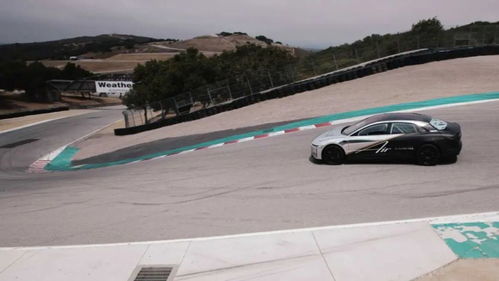 汽车博览会第多少届了(汽车博览会的历程，第XX届回望与前瞻)