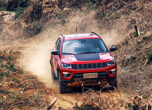 56吨的汽车有多少米长(探究一辆载重56吨汽车的长度之谜)