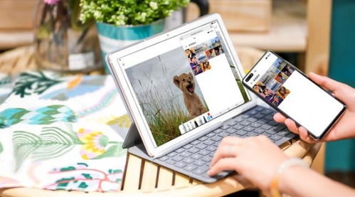 华为电脑怎么和手机应用(华为电脑与手机应用的互联互通体验)