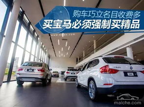 买汽车一年要多少费用(买汽车一年要多少费用，深度解析汽车年度成本)