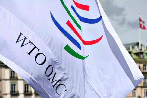 中国这些举措在世贸组织获赞(中国举措在世贸组织获赞，展现开放合作与担当)