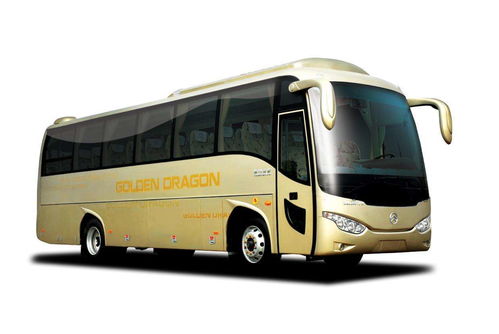 天全到成都的汽车多少钱(天全到成都的汽车票价详解)