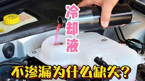 冬天汽车加冷却液多少升(冬天汽车加冷却液需要多少升？全面解析汽车冷却液的重要性及添加量)