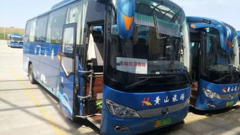 佛山汽车站的电话多少(佛山汽车站电话查询，一站式交通出行的信息中心)