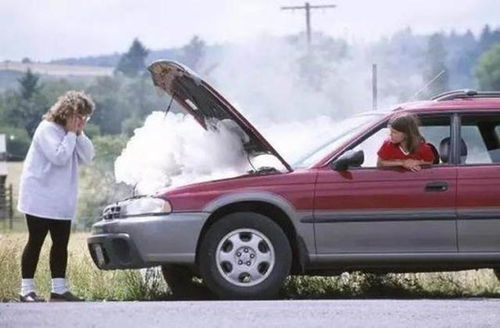 汽车发动一夜烧多少油(汽车发动一夜烧多少油，深度解析油耗因素)