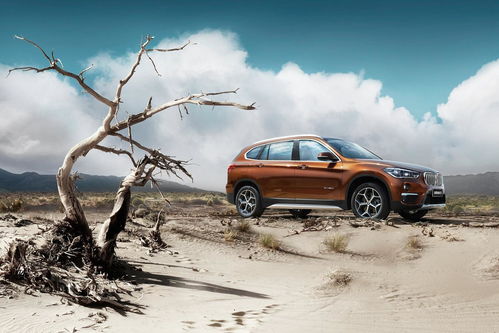 奔腾汽车厂有多少员工啊(奔腾汽车厂的员工规模与发展历程)