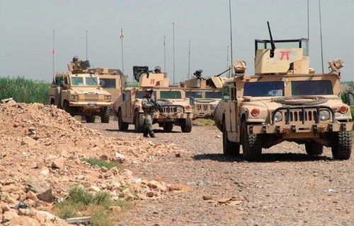 国军一个师有多少汽车(国军一个师的汽车装备数量探究)