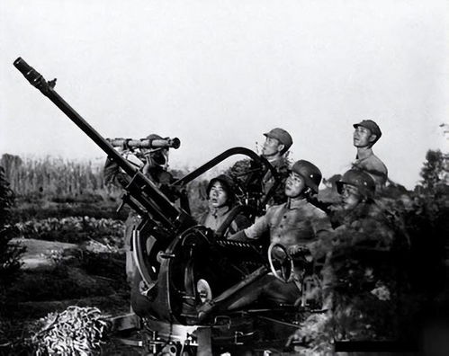 国军一个师有多少汽车(国军一个师的汽车装备数量探究)