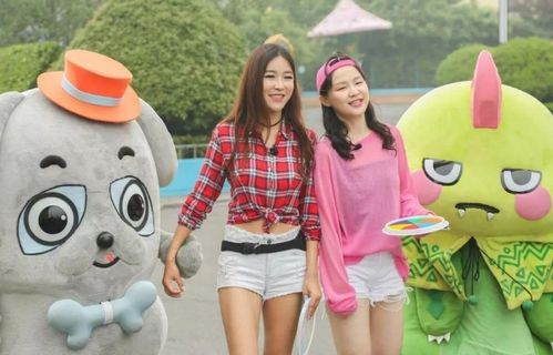 潍坊到柘城汽车多少钱啊(潍坊至柘城，探寻汽车票价背后的故事)