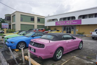 秀屿区汽车一天多少钱(秀屿区汽车租赁一天多少钱，探索价格与服务的平衡点)