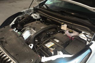 买汽车电瓶好吗要多少钱(汽车电瓶购买指南，价格与质量之间的选择)