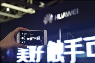 定格照怎么拍华为电脑(定格照的艺术，华为电脑上如何拍摄精彩瞬间)