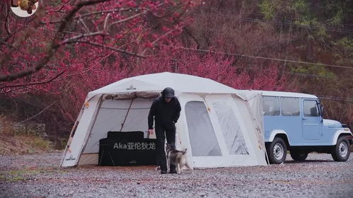 最便宜的露营汽车多少钱(最便宜的露营汽车价格探究)