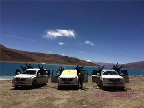 最便宜的露营汽车多少钱(最便宜的露营汽车价格探究)