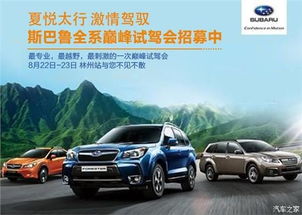 平玉到林州汽车电话多少(平玉到林州汽车电话查询指南)