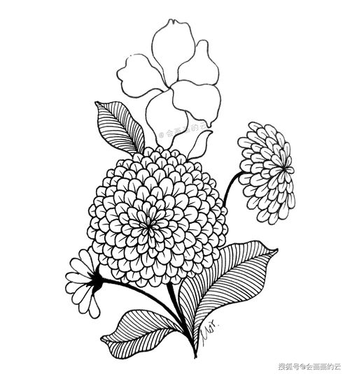 华为电脑怎么画花朵图案(华为电脑绘画教程，如何绘制花朵图案)